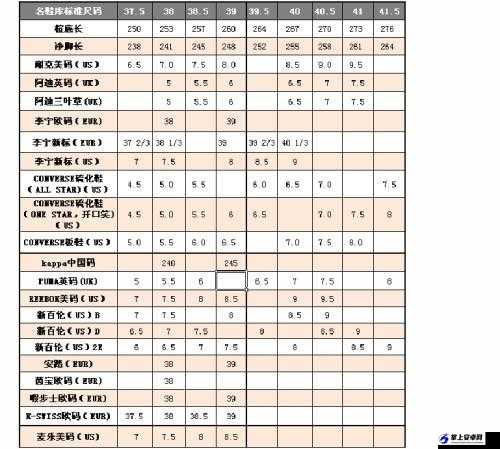 美国尺码 9 码 X-Wide：优质舒适之选