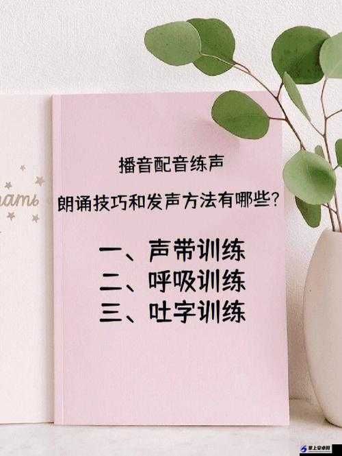 舌战玉门的技巧和方法：辩论高手的制胜之道