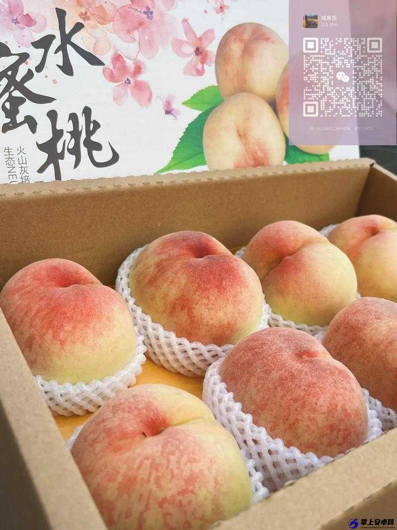 日本最好的桃子品种：口感与品质俱佳