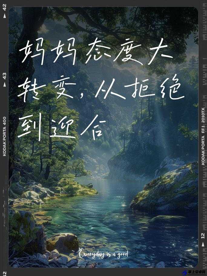 从拒绝到迎合的转变历程