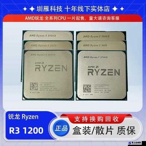 AMD-R3-5100 曝光详情全知晓