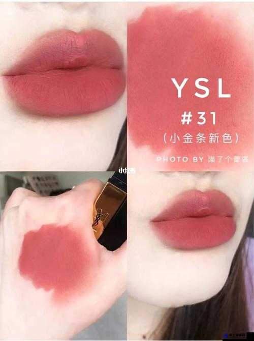 ysl 蜜桃棕调色：迷人的色彩魅力