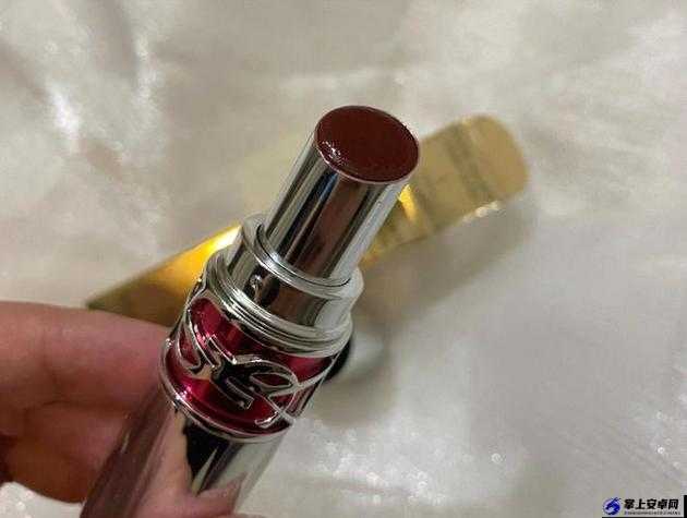 Ysl 蜜桃棕调色：专属你的迷人魅力