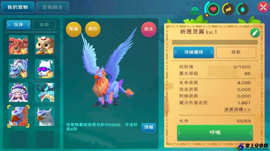 创造与魔法30级战宠怎么抓